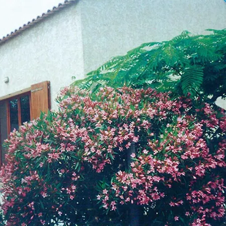 Holiday home Les Lauriers